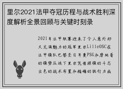 里尔2021法甲夺冠历程与战术胜利深度解析全景回顾与关键时刻录