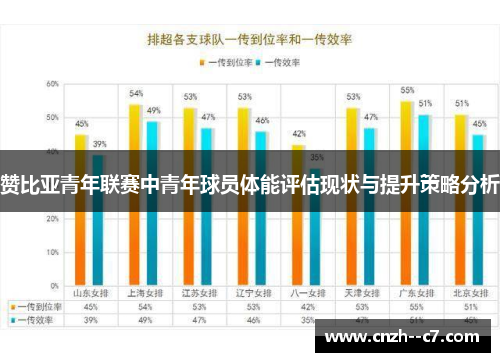 赞比亚青年联赛中青年球员体能评估现状与提升策略分析