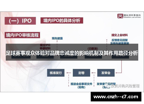 足球赛事观众体验对品牌忠诚度的影响机制及其作用路径分析